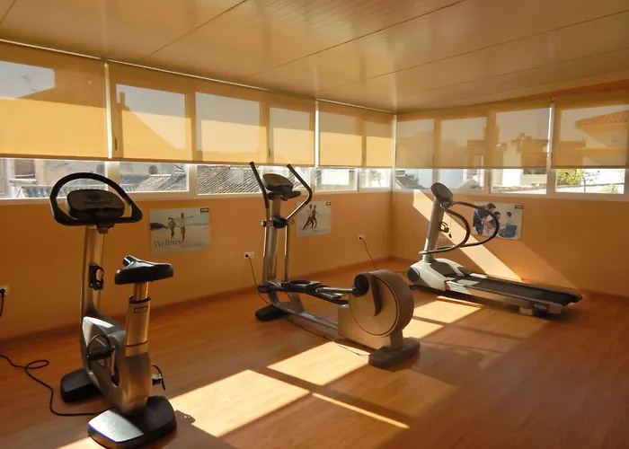 Macia Alfaros Hotell